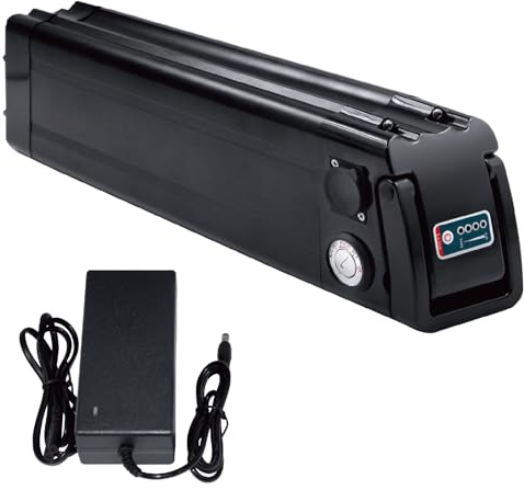 Ebike batteri 36V 48V cykel pedelec batteri elcykel whitebait form för Aldi för MiFa Trio för Samsung Zhenlong Phylion och många fler med laddare (36V 16Ah)