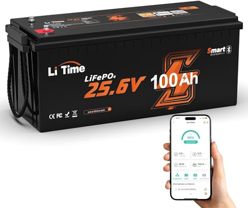 LiTime LiFePO4 Batterie 24V 100Ah, Bluetooth-Funktion und Litime APP-Steuerung, 4000+ Zyklen und 10 Jahre Batterielebensdauer, Perfekter Ersatz für Blei-Säure, AGM, SLA Batterie