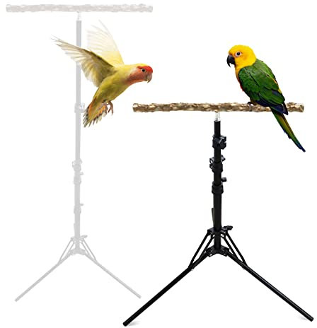 Papageien-Sitzstange aus natürlichem Papageienholz, höhenverstellbarer Vogelständer für kleine bis mittelgroße Vögel, Innen- und Außenbereich