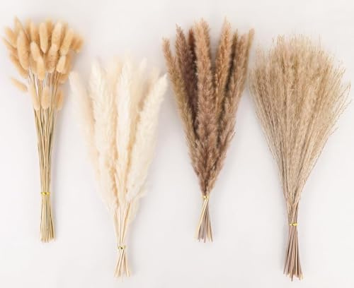 100 Piezas Pampas Secas Decoracion Hierba de la Pampa Seca con Flores Secas de Cola de Conejo Blancas Hierba Natural de Pampas Secas, para Mesa de Bodas Salón Jarrones Boho Decoración del Hogar