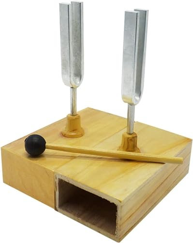 Resonanz Stimmgabel Mit Holz Resonanzkasten Und 440 Hz Schlägel Resonanz Lehr Stimmgabel Resonanz Stimmgabel Gruppe Schallausbreitung