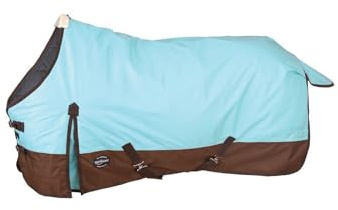 Reinsman Classic Turnout Winter Warm Horse Blanket with 200g Fill| Water-Resistant 600 Denier | Comfortable Fleece-Lined Adjustable Neck | Breathable Nylon Liner | Easy to Clean, Aqua/Brown, 81