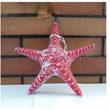 Hrlace 13cm Seesterne Deko Klein Harz Seestern Anhänger Mediterraner Stil Hängedeko Bunt Wanddeko Ornament Basteln Seesterne für Kommunion Home Badezimmer Balkon Bu?ro Decor Zubehör Rot