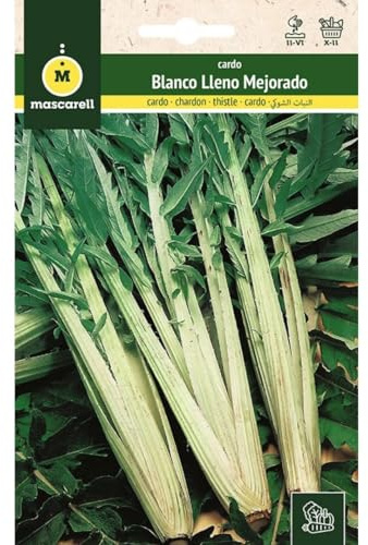 Mascarell Semillas, CARDO, Semillas Huerto, CARDO BLANCO LLENO MEJORADO, Crea tu Propio Huerto Urbano y Cultivo en Casa, Plantas Hortícolas, 6 Gramos