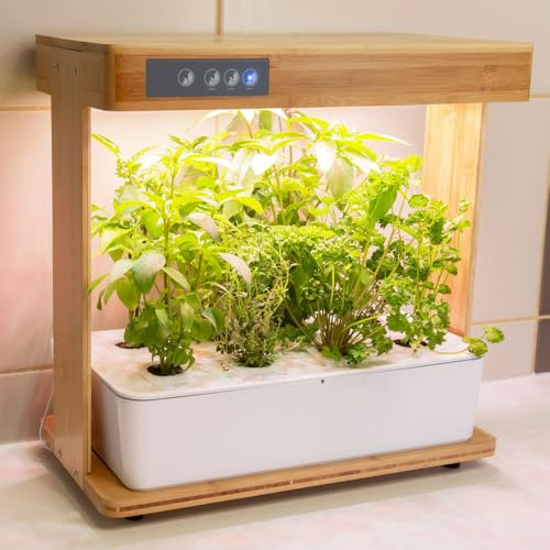 Bioponis - Bamboo 1 - Potager d'Intérieur pour Plantes Aromatiques