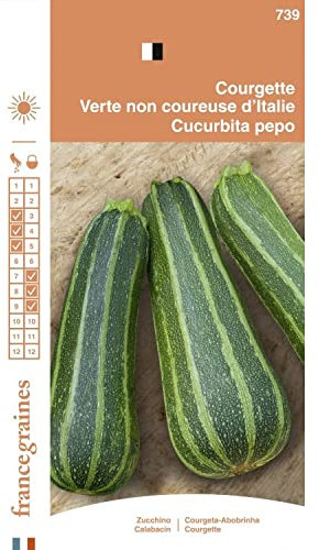 France Graines - Courgette non Coureuse