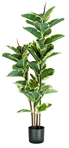 King Collection PIANTA FICUS ELASTICA H. 145 cm 54 FOGLIE