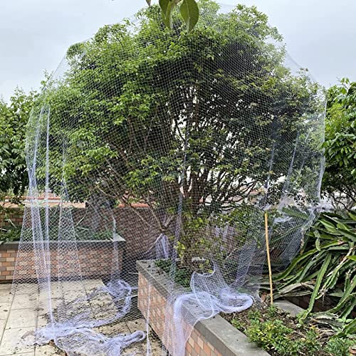 Ccsh Filet Anti-Oiseaux Filet Réutilisable pour Plantes D'arbres Fruitiers à Mailles Carrées, Protecteurs D'arbres de Filet Anti-Oiseaux de Jardin pour Verger de Ferme de Plantes Cultivées