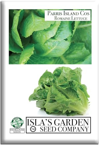 Parris Island Cos Romaine Lettuce Seeds (Lactuca sativa)– 1000+ Heirloom Non-GMO Seeds by Isla’s Garden Seeds, Crisp Upright Heads, Productive Lettuce Variety, Ideal for Raised Beds & Backyard Gardens
