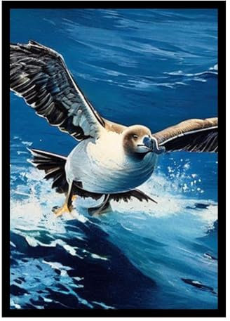 GAEKKO Wandbild 'Möwe über dem Meer' auf Acrylglas mit Bilderrahmen Acrylglasbild 20 x 30 cm