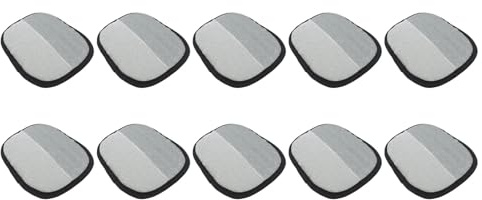 Fabater D'épilation Statiques pour Animaux de Compagnie, Brosse, D'épilation Confortables pour Chiens et Chats, Adaptés à Toutes Les Surfaces, 10 pièces.