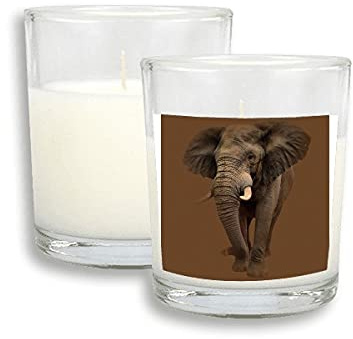 Elephant Teeth Independent Feet White Candles Glass Scented Incense Wax