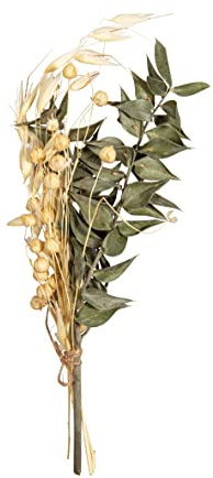 Rayher Bouquet de fleurs séchées naturelles, vert, 1 bouquet, 18-20cm, arts créatifs, art floral, décoration, scrapbooking-85491430