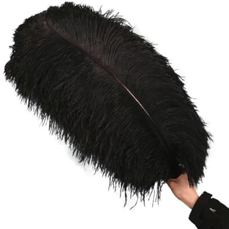 Plumes d'autruche noires pour décoration, 15-70 cm, grandes plumes d'autruche, pour vase de vacances, centre de table, accessoires (25-30 cm), petit poteau (50 pièces)