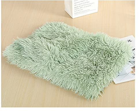 Pet Kitten Kunstpelz Weich und Bequem Hundedecke Katzendecke Plüschdecke,Rutschfester Flauschiges Katzenkorb Katzenbett Plüsch Kissenauflage Haustierbetten Hundematte Katzenkissen FruitGrün 100*75cm