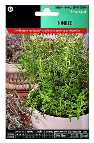 Semillas Naturales de Tomillo o Thymus Planta Aromática