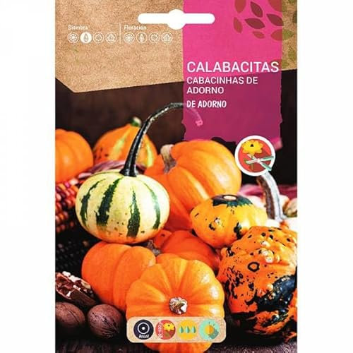 Semillas Calabazas Variadas de Muchas Especies, Formas y Colores para Decorar