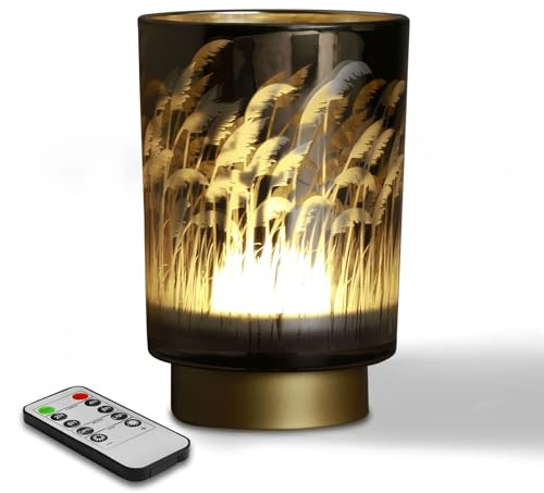 Eywamage Kleine Batterie-Pampasgras-Tischlampe, kabellose Glas-Nachttischlampe mit Fernbedienung und Timer, dekorative Lichter