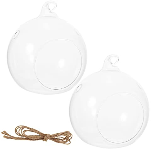 Milisten 2pièces Vase Boule Verre Transparent à Suspendre Terrarium Plante Compact Décor Maison Et Bureau Lot