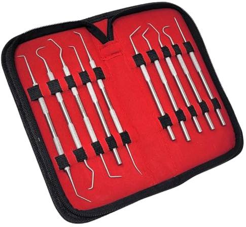 Dental Tools 10 Pack Stainless Steel Teeth Cleaning Tools Set to Use as Oral Care Hygiene Kit Includes Plaque Tartar Calculus Remover Micro Probes in a Pouch Perfect for Dentist Pets Adults Kids