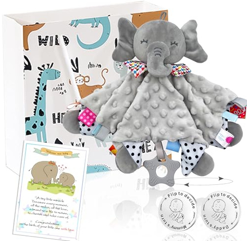 Baby Comforter Gift Set with Elephant Comforter and Parent Decision Coin | Soft elephant comforter, teether, satin tags and parent decision coin, newborn baby gift