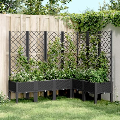 Gecheer Jardinera de jardín con celosía negra 160 x 120 x 142 cm de PP PLZ315