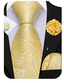 Barry.Wang Ties for Men Paisley 63'' Extra Long Silk Necktie Pocket Square Cufflinks and Lapel Pin Set Wedding Party