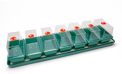 AMOS Eezy Grow Self-Watering Propagator – Effortless Seed Germination & Cutting Propagation Indoor with Automatic Capillary Watering System & Large Reservoir for Healthy Plant Growth