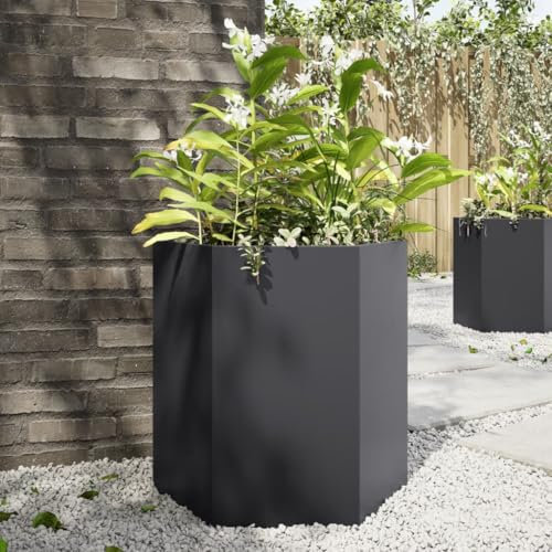 Myheimly Garten-Pflanzgefäße 2 Stück Schwarz Sechseckig，Blumenkübel mit Offenem Boden, Hochbeet für Garten Terrasse, Pflanzkasten Blumenkasten Kompostbehälter, 46x40x45 Stahl