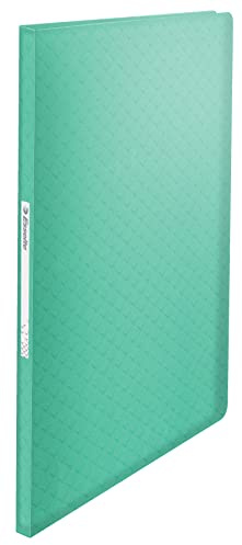 Esselte - Porte-vues A4 avec 60 Pochettes, Capacité 120 Feuilles, Rangement & Présentation de Documents, Maison / Bureau, Motif Texturé, Gamme Colour'Breeze, Vert, 626233