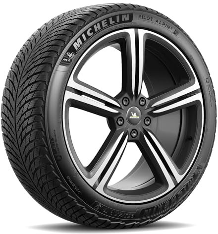 Michelin Pilot Alpin 5 XL FSL - 295/30R21 - Winterreifen