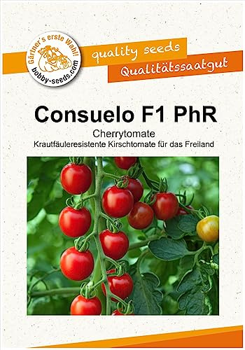 Tomatensamen Consuelo F1 PhR, Cherrytomate Portion