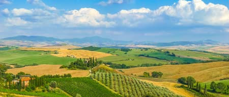 Holz-Bild 120 x 50 cm: Malerische Landschaft der Toskana mit sanften Hügeln und Tälern im goldenen Abendlicht, Val d Orcia, Italien(44495995)