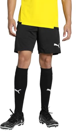 PUMA TeamGoal träningsshorts
