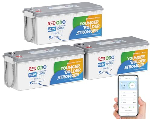 Redodo 24V 100Ah Bluetooth(3 Pack) Batterie Lithium,Batterie LiFePO4 Protection Low-Temp,BMS 100A,2560Wh Parfaite Batterie de Remplacement au Plomb pour Camping-Cars, VR, Caravanes, Solaire