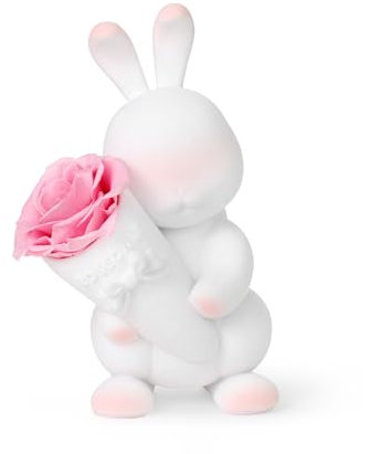 roseonly. Ewige Rose mit Süßen Hase, Konservierte Rosen, Infinity Rose Hase Figur Geschenke für Frauen zum Geburtstag, Valentinstag, Weihnacht, Muttertag, Jubiläum (Mini, Weiß-Rosa)