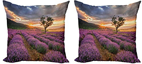 Lunarable Lavender Throw Pillow Cushion Cover Pack of 2, Idyllic Landscape with Rising Sun and Endless Rows Lavender Field in Full Blossom, Zippered Double-Side Digital Print Decor, 16, Multicolor