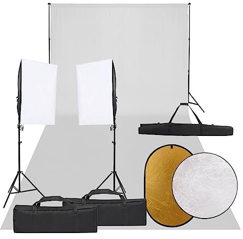 vidaXL Kit de Estudio Fotográfico con Set de Luces, Fondo y Reflector Soporte Pantalla Foto Video Sistema Lámparas Luz Iluminación Plegable