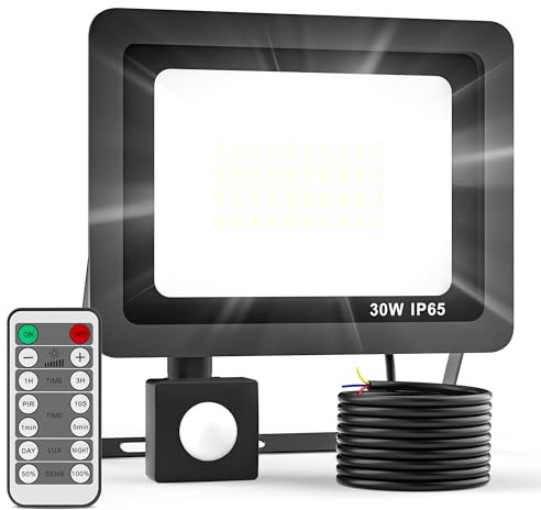 Realky Security Lights Outdoor Motion Sensor with Remote Control, 30W 3000LM LED Floodlights with PIR Sensor 6500K Outdoor Spotlight Brightness Adjustable & Timing Function for Garden Backyard