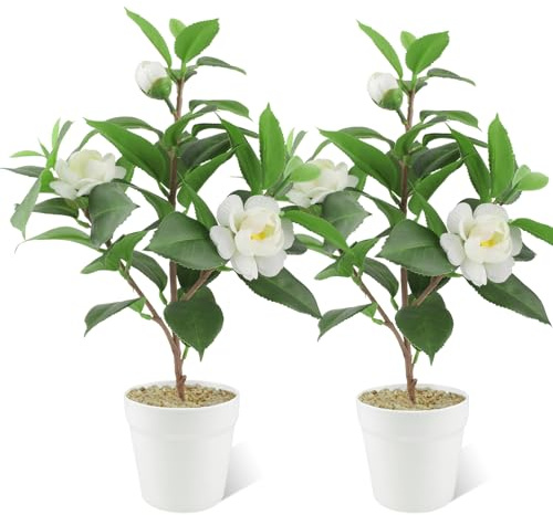 JINXIAN 2 Set Kunstpflanze Weiß Kamelie 33 cm Künstliche Pflanzen Wie Echt | mit Kunststofftopf Fake Blumen für Badezimmer Fensterbank Balkon Wohnzimmer Büro Home Decoration