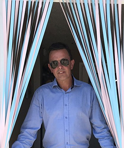 Holland Plastics Original Marke Wohnwagen/Wohnmobil-Türvorhang, Insekten-Jalousie, Fliegenrollo EIS-Loly-Serie – Refresher