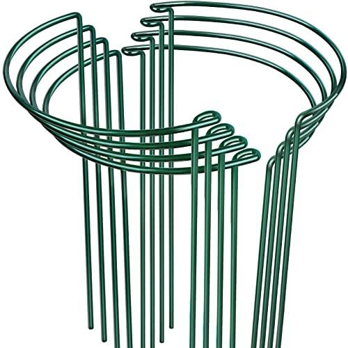 LEOBRO Plant Support, 8PCS Peony Cages and Supports, Plant Stakes for Indoor Plants, Outdoor Plants, Metal Garden Stakes, Plant Holders, Tomato Monstera Hydrangea Support Cage, 10 W x 15.8 H