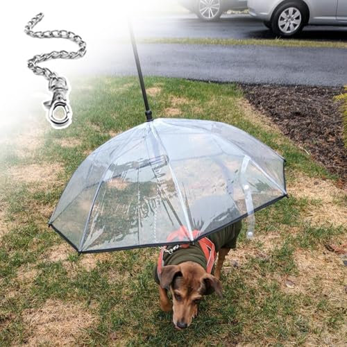 EXCLURA Hunde Regenschirm Regenfester Hundeschirm für Kleine Hunde, Transparenter Hundeschirm mit Stahlrippen und Leine, Hundeschirm Hält Hunde Bei Regen und Schnee Trocken