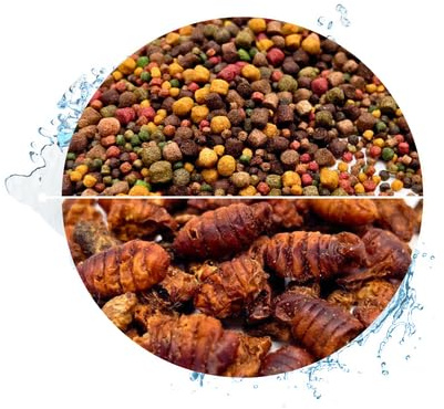 Warnick's Fischfutter Koifutter 8-Sorten-Mix 3-6 mm - 15 Liter | Mit 1 L Seidenraupen - Fischfutter für Koi & Zierfische - Schwimmfähig & gut verdaulich - Farbverstärkend mit Spirulina