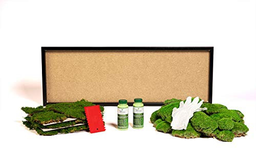 DIY Moosbild selber machen, Wandbilder selber kleben, Moosbilder selbst gestalten Do it yourself Set Moos kleben Wanddeko Wandbild Komplett-Set Holzrahmen (schwarz, 100x35 cm) (schwarz)