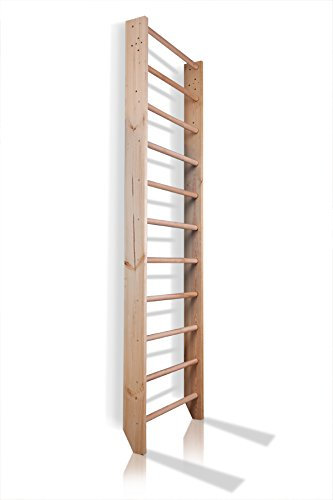 Échelle suédoise Espalier Sport-0-220 Espalier suédois Les Enfants de Gym à Domicile Complexe Sportif Gymnastic