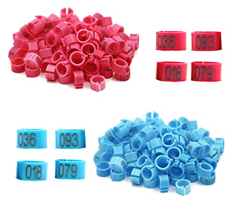 200Pcs Bird Leg Bands, Chicken Birds Leg Rings 8mm Pigeon Ring Numbered Bird Leg Bands Plastic Red Blue Birds Identification Leg Bands Serial Number Rings for Chicks Bantam Quail Lovebirds Finch