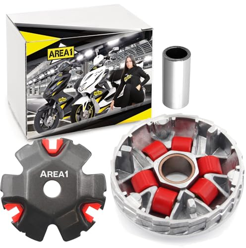 Area1 Tuning Variomatik für 50ccm China 4Takt Roller. Kompatibel mit Agility 50 Basic Sento Motortek Rhon WK Zündapp Tank MKS Motofino Pegasus Sanili