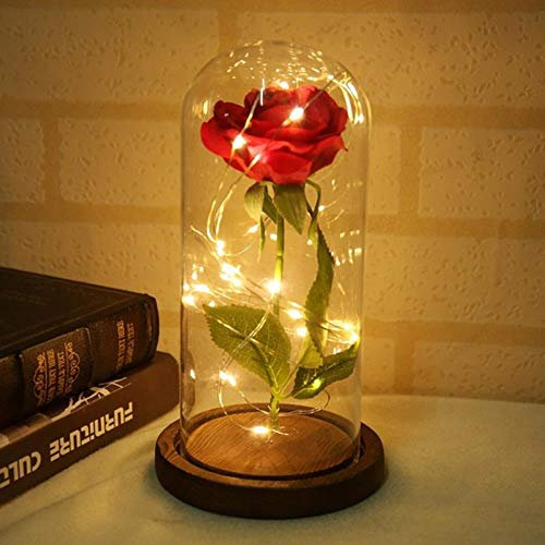 aifengxiandonglingbaihuo Beauty and the Beast Red Rose in a Glass Dome with LED Light and Base for Valentine's, 030B,Australia