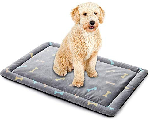ALLISANDRO Hundematte waschbare Hundedecke hygienische rutschfeste und weiche Decke 80x60cm 100x70cm 120x70cm mit kuscheligem Micro Plüsch Oberfläche Leinwand Zurück Duplex-Einsatz Grau